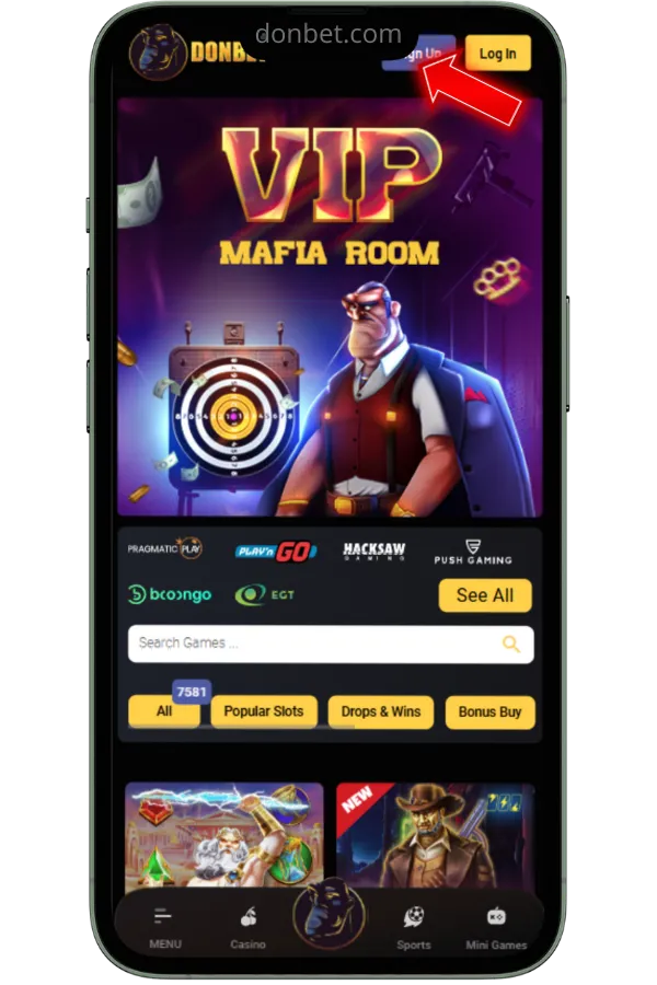 Visit an Official Casino Site